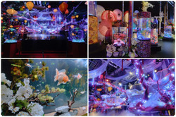 「【お台場・豊洲周辺】2026年1月24日・25日の今週末に楽しめるイベント9選　幼児無料も」の写真