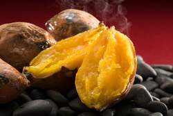 画像は参考資料です