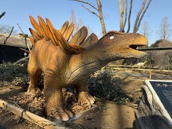 「10体以上の恐竜が集結！化石発掘キットのお土産も楽しめるこもれびの森イバライド」の写真