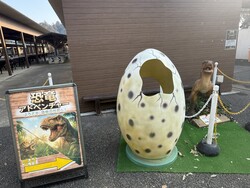 「10体以上の恐竜が集結！化石発掘キットのお土産も楽しめるこもれびの森イバライド」の写真