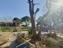 「10体以上の恐竜が集結！化石発掘キットのお土産も楽しめるこもれびの森イバライド」の写真