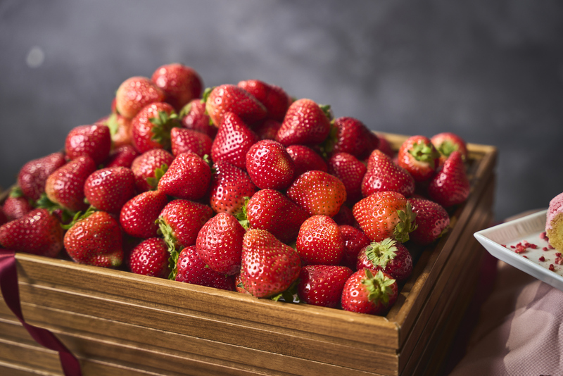 “フレッシュいちご”の食べ放題は毎年大人気！