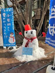 おたり村から雪遊びのプレゼント