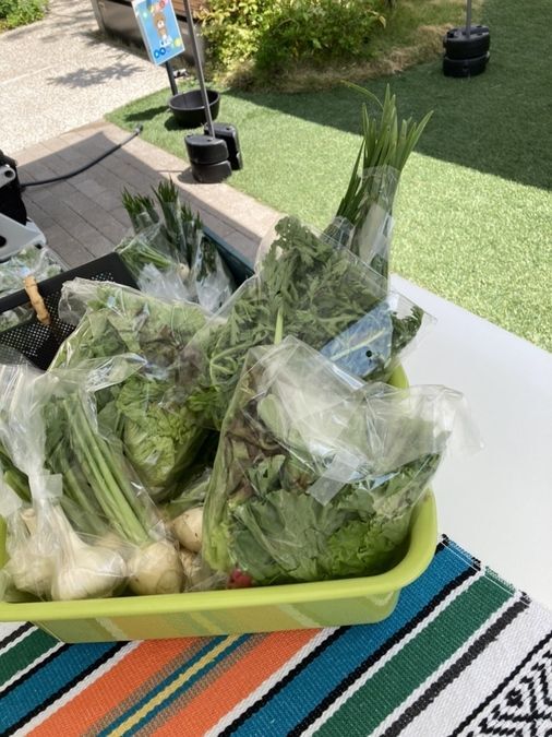 朝採れ新鮮冬野菜つめチャレンジ（※画像はイメージです）