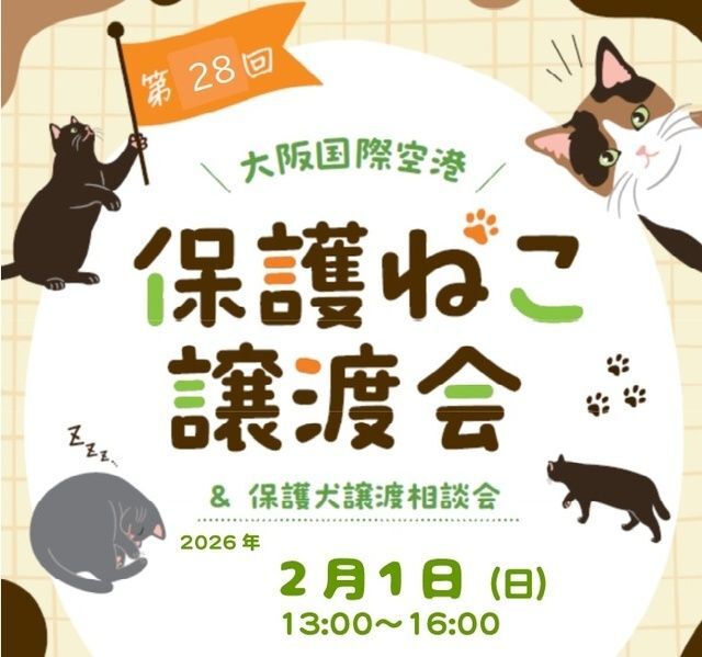 第28回 大阪国際空港 保護ねこ譲渡会