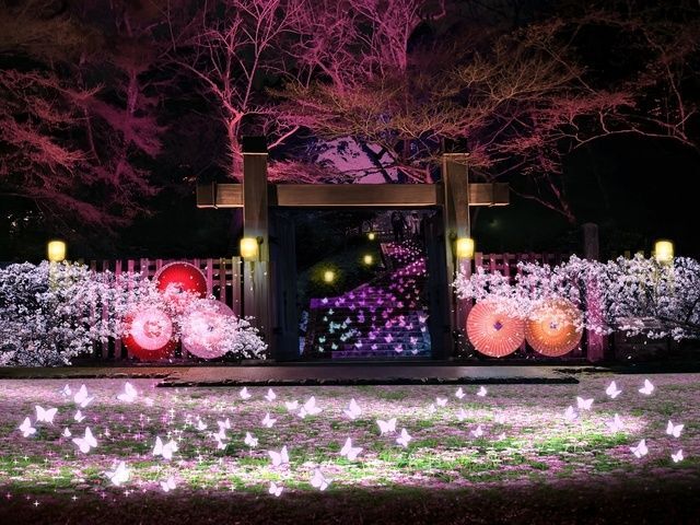 ぎふ灯り物語 2026（写真提供：GIFUナイトビュー事業実行委員会）