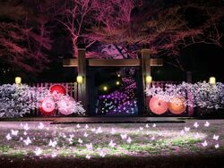 ぎふ灯り物語 2026（写真提供：GIFUナイトビュー事業実行委員会）