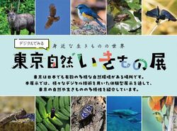 デジタルでみる東京自然いきもの展