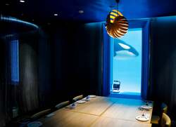 「シャチと食事やベルーガにタッチも！閉館後の水族館を探検できる特別プランが鴨川で」の写真