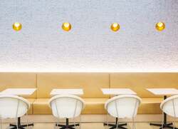 「シャチと食事やベルーガにタッチも！閉館後の水族館を探検できる特別プランが鴨川で」の写真