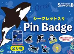 「シャチと食事やベルーガにタッチも！閉館後の水族館を探検できる特別プランが鴨川で」の写真