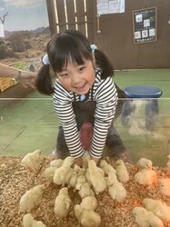 「【2026】東京・関東のひよこふれあいカフェ＆動物園9選！さわれる人気スポット」の写真