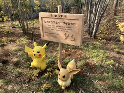 「【現地レポ】「ポケパーク カントー」公開！600匹のポケモンが住む森・パレード初披露」の写真