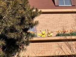 「カヤツリタウン」へ向かう歩道でふと頭上を見上げるとピカチュウとイーブイが！