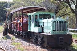 「わんちゃん入場無料！成田ゆめ牧場でドッグフェス　愛犬と列車やBBQ、ゲームを体験！」の写真