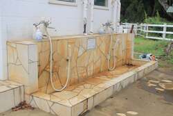 「わんちゃん入場無料！成田ゆめ牧場でドッグフェス　愛犬と列車やBBQ、ゲームを体験！」の写真