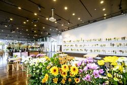 「【神奈川】最寄駅から徒歩5分以内！「1/31・2/1」の週末に電車で行けるイベント11選」の写真