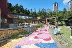 花咲くトマム　ホタルストリート　全景　