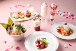 花咲くトマム　料理集合