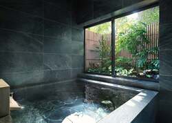 「全棟に天然温泉付き！サウナや愛犬OKのヴィラ29棟が京都に誕生　無料ラウンジも」の写真