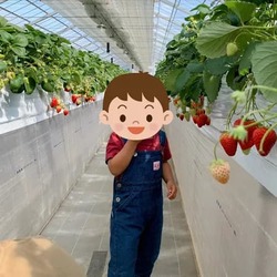 「【2026埼玉】最寄駅から「徒歩10分以内」！電車で行けるいちご狩りスポット6選」の写真