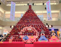 エルミこうのすのひな壇はピラミッド型としては日本一の高さ7m