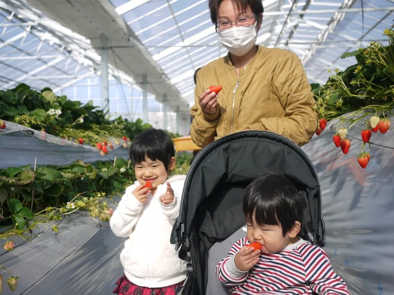 通路が広いため、ベビーカーでもスイスイ進めます