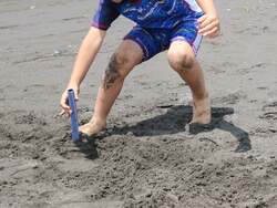 「入場無料で遊び尽くせる！スケボーやバスケ、ヨガに挑戦、賞品も狙えるスポーツの祭典」の写真