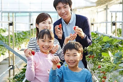 おでかけの時期によって、出会える品種もさまざま