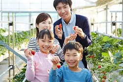 おでかけの時期によって、出会える品種もさまざま