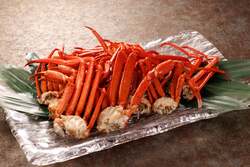 「雪遊び＆宝探しに子供が夢中＆巨大かまくらで大人も寛げる！冬の楽園が鳥取大山に誕生」の写真