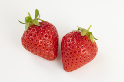 あまえくぼ（画像提供：マハロ / PIXTA）