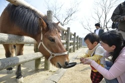 「【関西】犬とふれあえる施設7選！大型犬散歩やドッグショー＆アスレチック・遊園地も」の写真