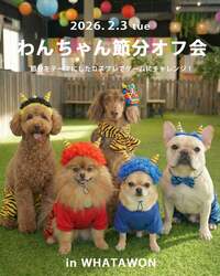 「親子で巨大福笑い＆愛犬と豆まきゲーム！岸和田で笑いと福を呼び込む節分体験イベント」の写真