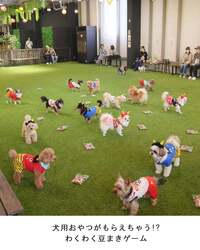 「親子で巨大福笑い＆愛犬と豆まきゲーム！岸和田で笑いと福を呼び込む節分体験イベント」の写真