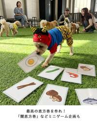 「親子で巨大福笑い＆愛犬と豆まきゲーム！岸和田で笑いと福を呼び込む節分体験イベント」の写真