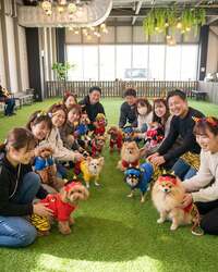 「親子で巨大福笑い＆愛犬と豆まきゲーム！岸和田で笑いと福を呼び込む節分体験イベント」の写真