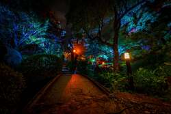 「映画『国宝』ロケ地で初開催！道明寺天満宮の幻想的なライトアップと夜市を楽しもう」の写真