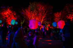 「映画『国宝』ロケ地で初開催！道明寺天満宮の幻想的なライトアップと夜市を楽しもう」の写真