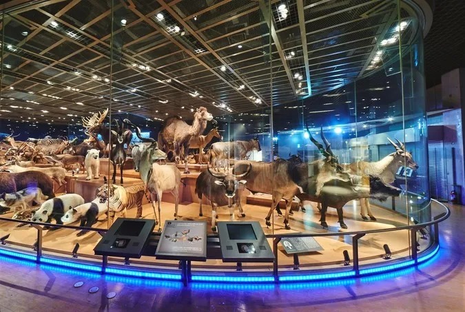 【関東】小学生におすすめ博物館15選｜入館無料・格安＆月曜開館・体験イベントもの1枚目の写真