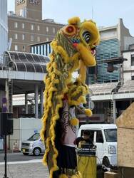 「アジアの絶品グルメ14台を食べ比べ！中国雑技団や獅子舞も楽しめる春節祭が沼津で開催」の写真