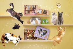 「【2026猫の日】かわいすぎて完売必至!? 話題の限定スイーツ＆猫グッズ最新まとめ」の写真