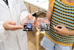 「【関東】小学生におすすめ博物館15選｜入館無料・格安＆月曜開館・体験イベントも」の写真