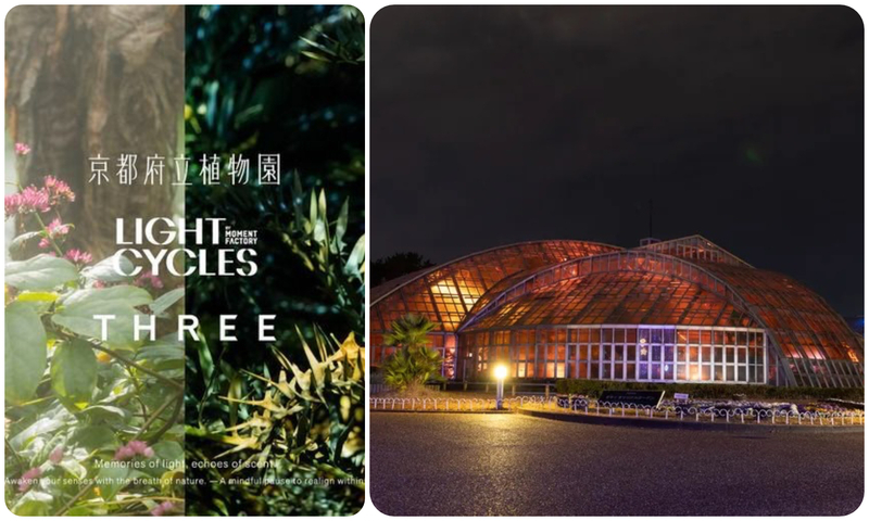 THE ROOM OF (IN) SCENTS