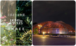 THE ROOM OF (IN) SCENTS