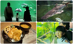 カワスイ 川崎水族館