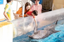 「【2026春】親子のおでかけに！ゆったり楽しめる神奈川県の水族館5選【保存版】」の写真