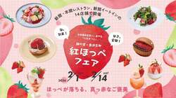 「【2026関東】ブランドいちごが味わえるイベント9選　あまりん＆希少品種食べ比べも！」の写真