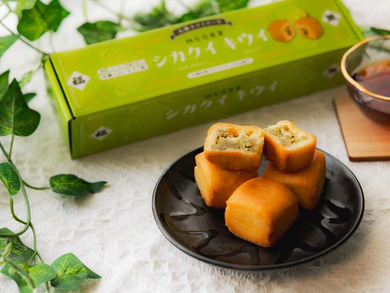 【大熊町】シカクイ キウイ