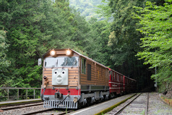 「ついにパーシーが走る！大井川鐵道で「きかんしゃトーマス号」運行　通年開催も決定！」の写真